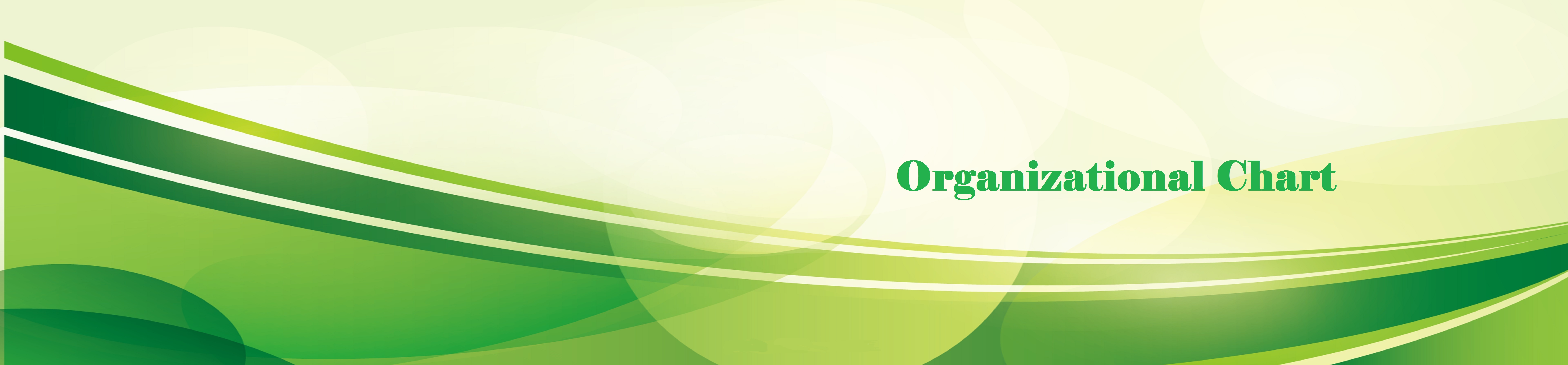 Organizational Chart.jpg